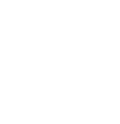 VIPDraw